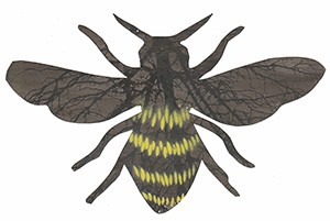 Detail from Apiphobia (2011) by Anonda Bell. Mixed media installation. Dimensions variable.