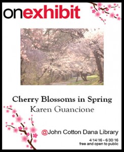 cherry blossoms in spring exhibit image 300
