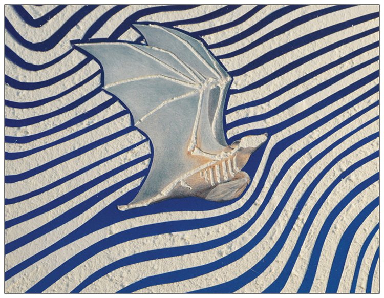 Slicing The Air Carved Board Book, Asha Ganpat
