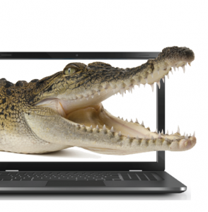 croc