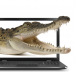 croc