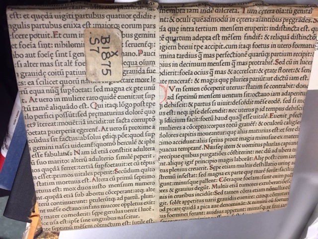 Another hidden gem in our rare books collections