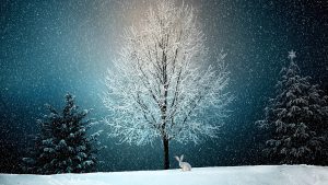 The Rutgers–Camden Campus Center transforms into a winter wonderland with family-friendly activities on December 9.