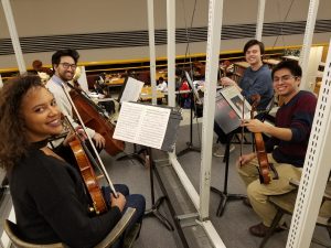 string instrument players image