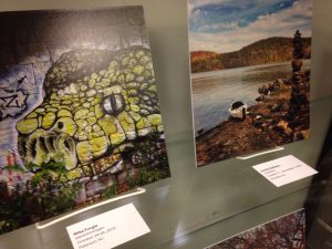 The Jersey Collective exhibit at Robeson Library. Credit: John Powell.