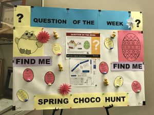 Egg hunt