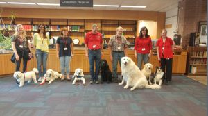 dogs at library