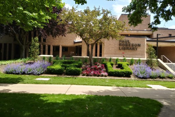 Landscaping in front of library