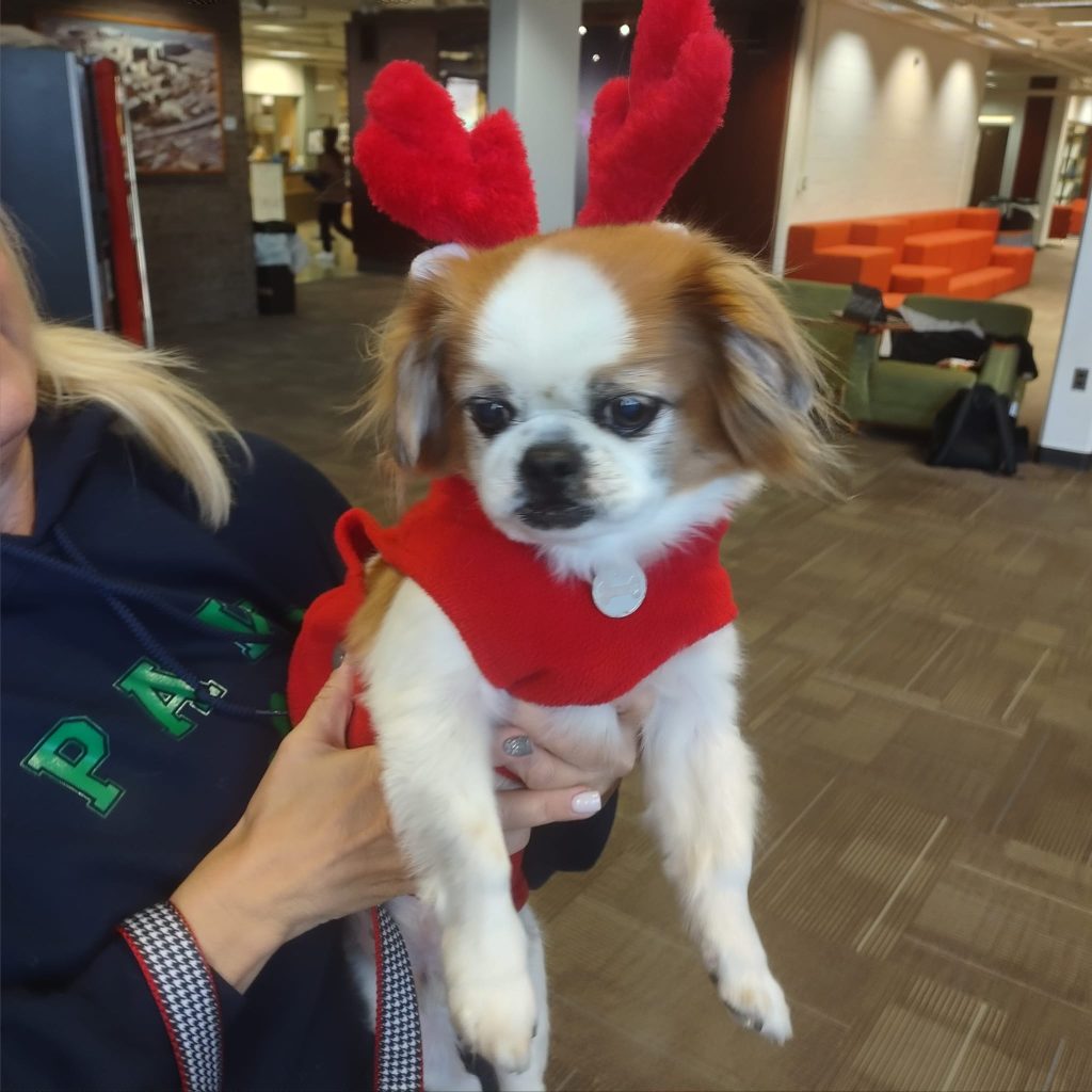 ROB Woof Wednesday - Gizmo - December 14, 2022