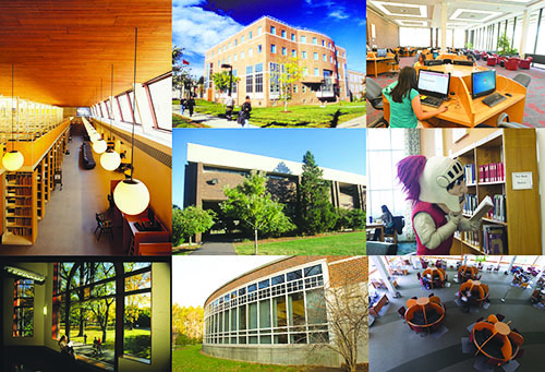 New Brunswick Libraries Reorganization