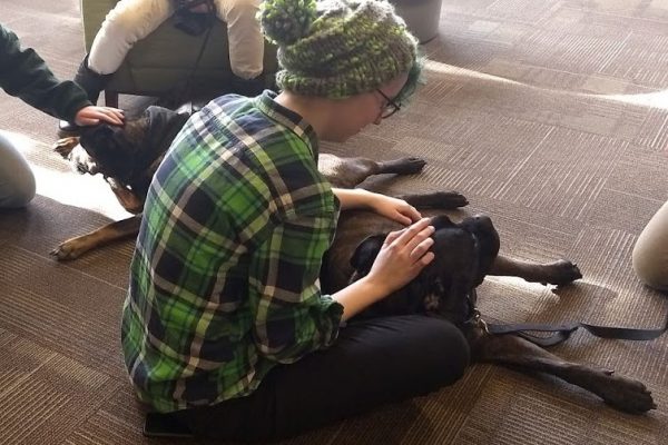 Therapy Dogs 12-19