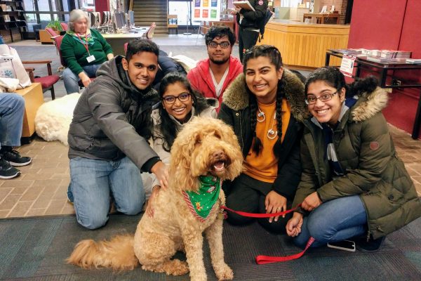 lsm pet therapy december 2018