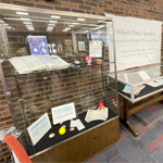 A wall lined with display cases filled with objects